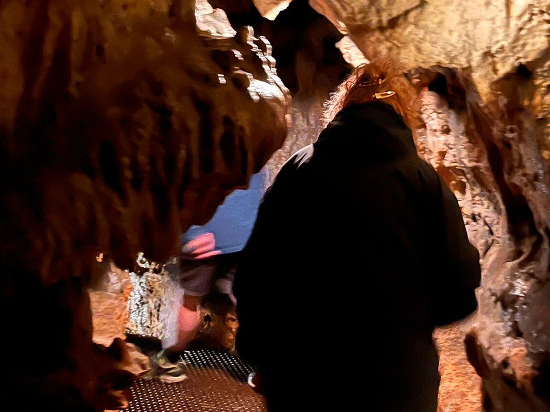 Grotte Des Combarelles景点图片
