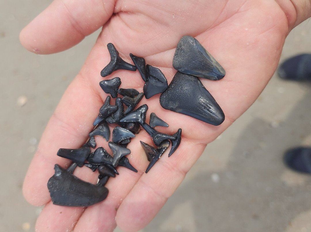 Onslow Beach景点图片
