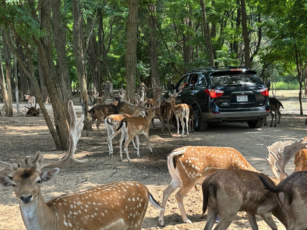 Shamba Safari-Neshkoro必去景点
