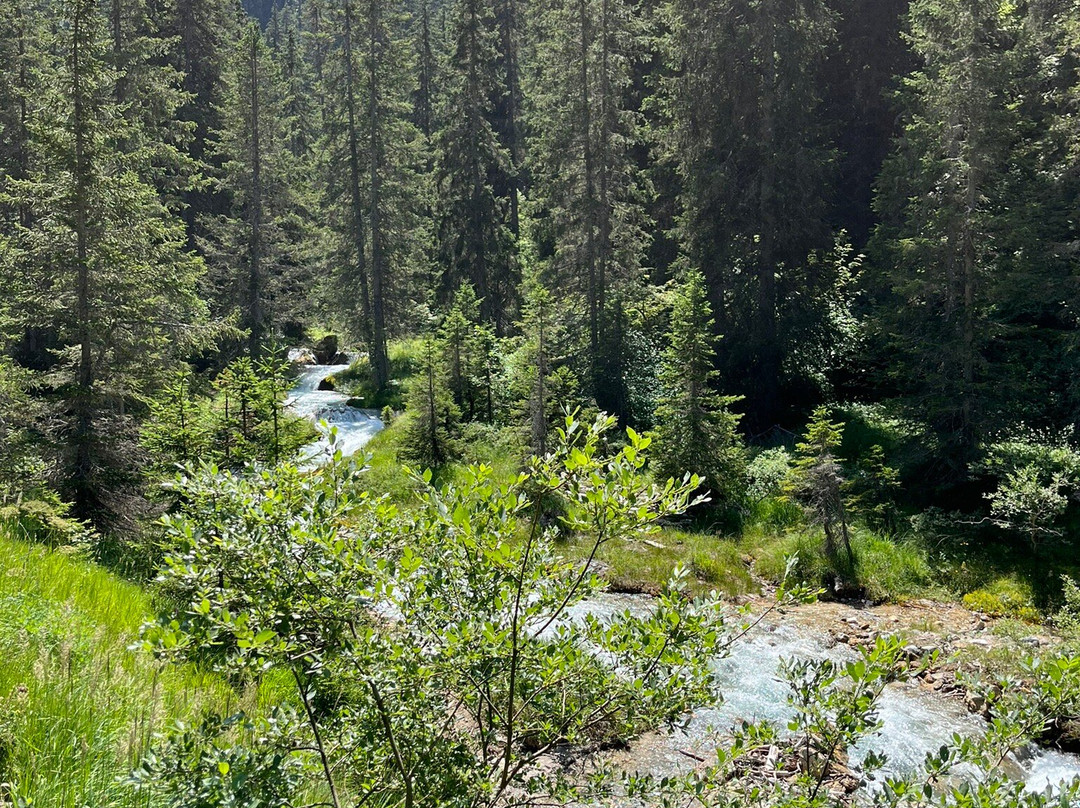 Lac de la Rosière景点图片