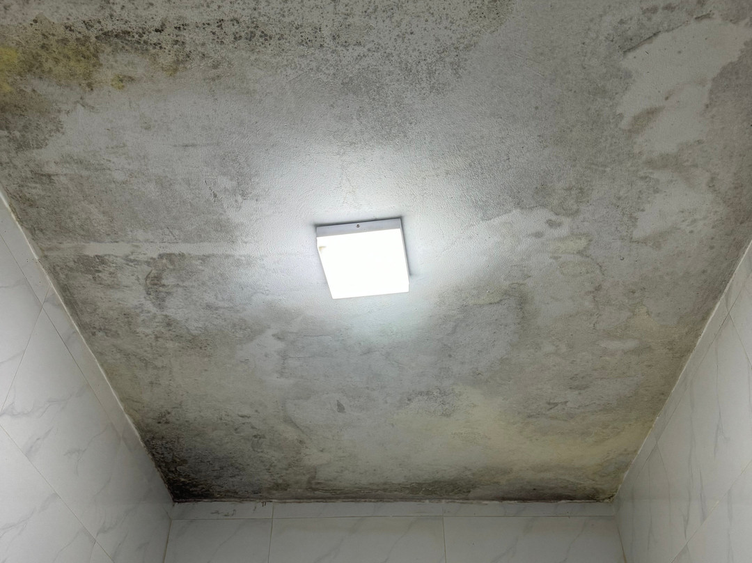 Sharook Riviera Grand Lodge主图