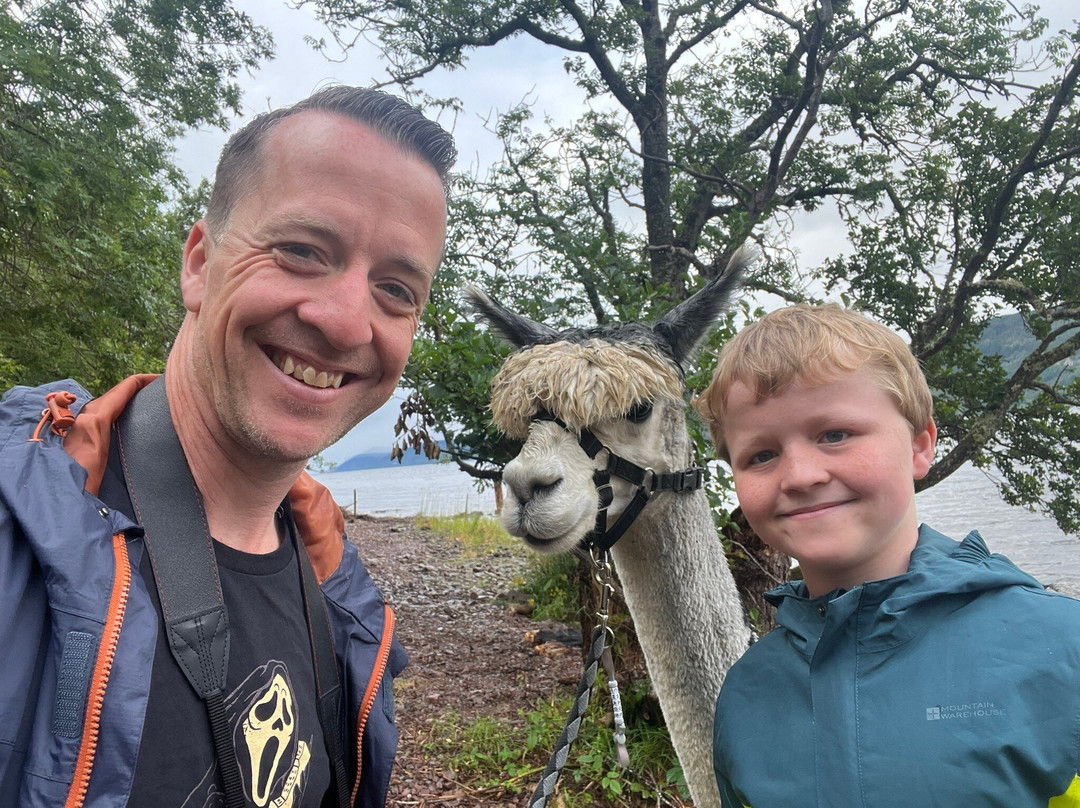 Loch Ness Alpacas-因弗内斯必去景点
