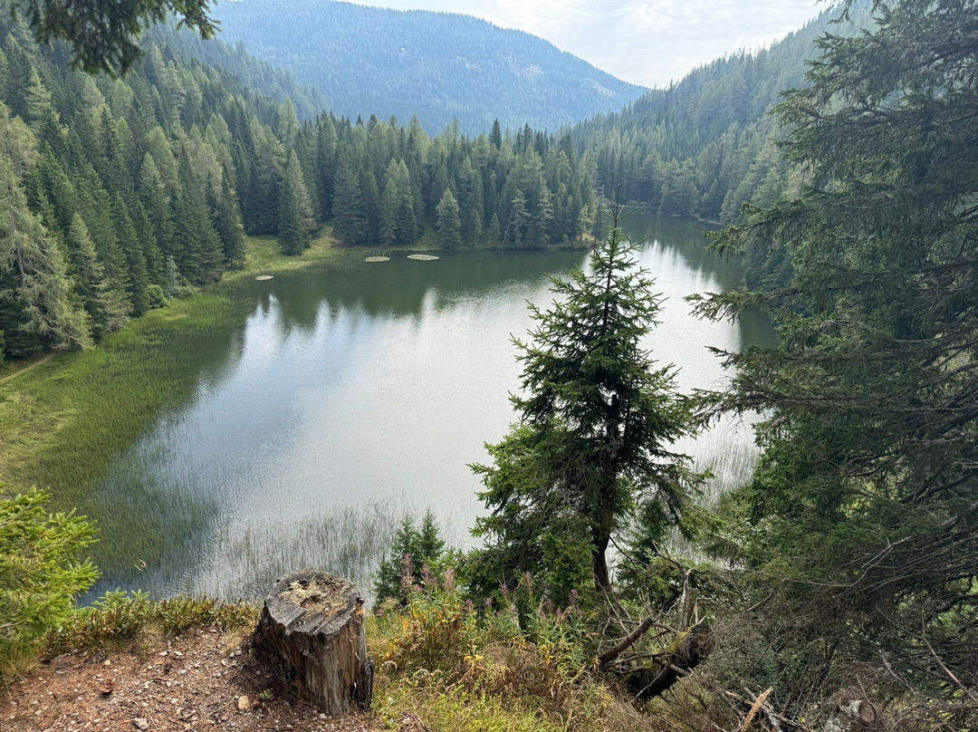 Alpengasthaus Ladinig Gasthof