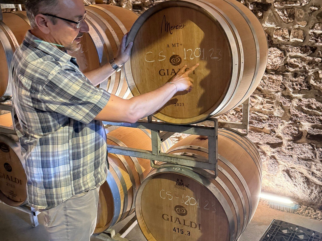 Gialdi Vini SA-门德里西奥必去景点