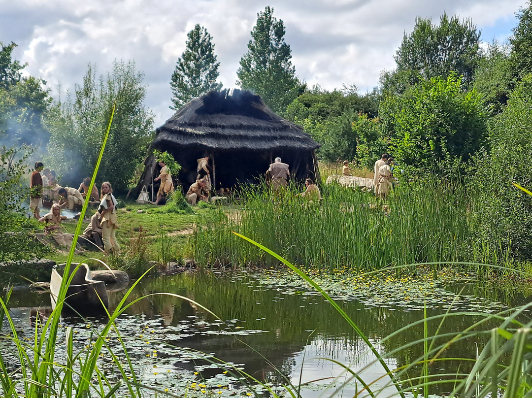 Steinzeitpark Dithmarschen景点图片