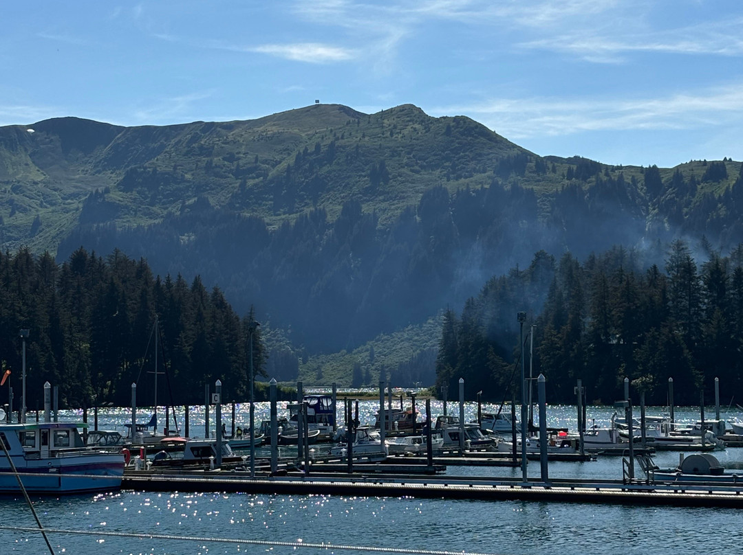 Alaska Coastal Marine Tours-荷马必去景点