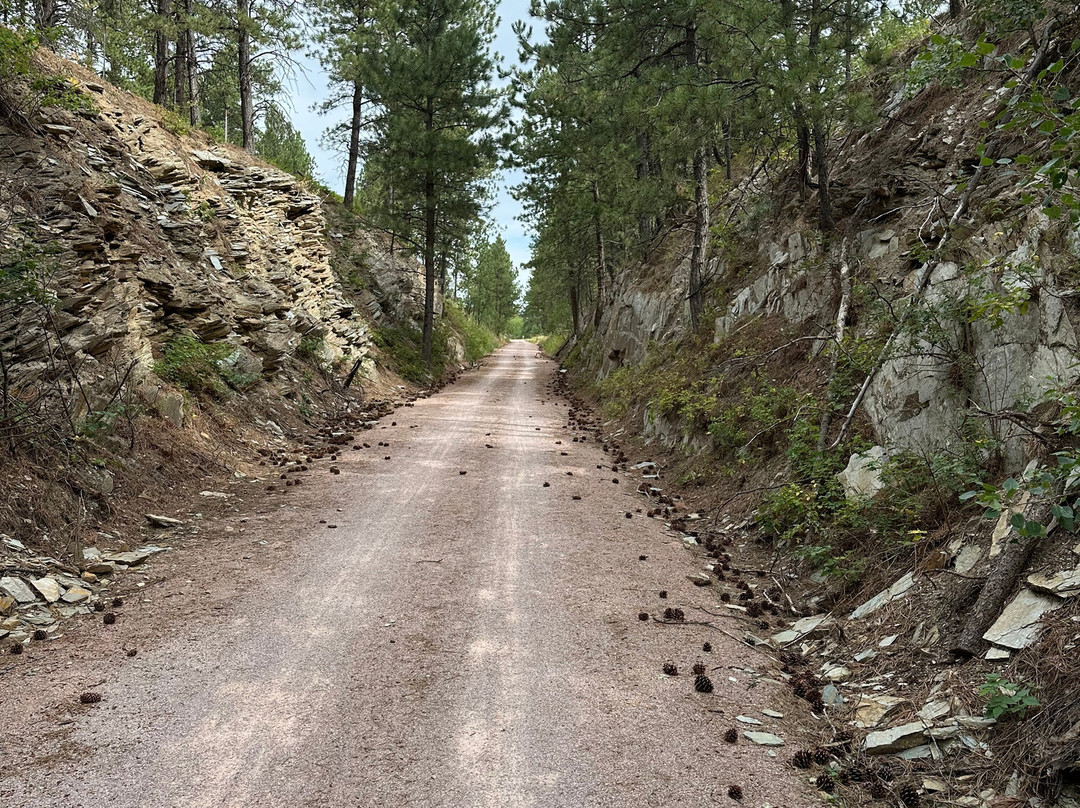 Bicycles & Boats-希尔城必去景点