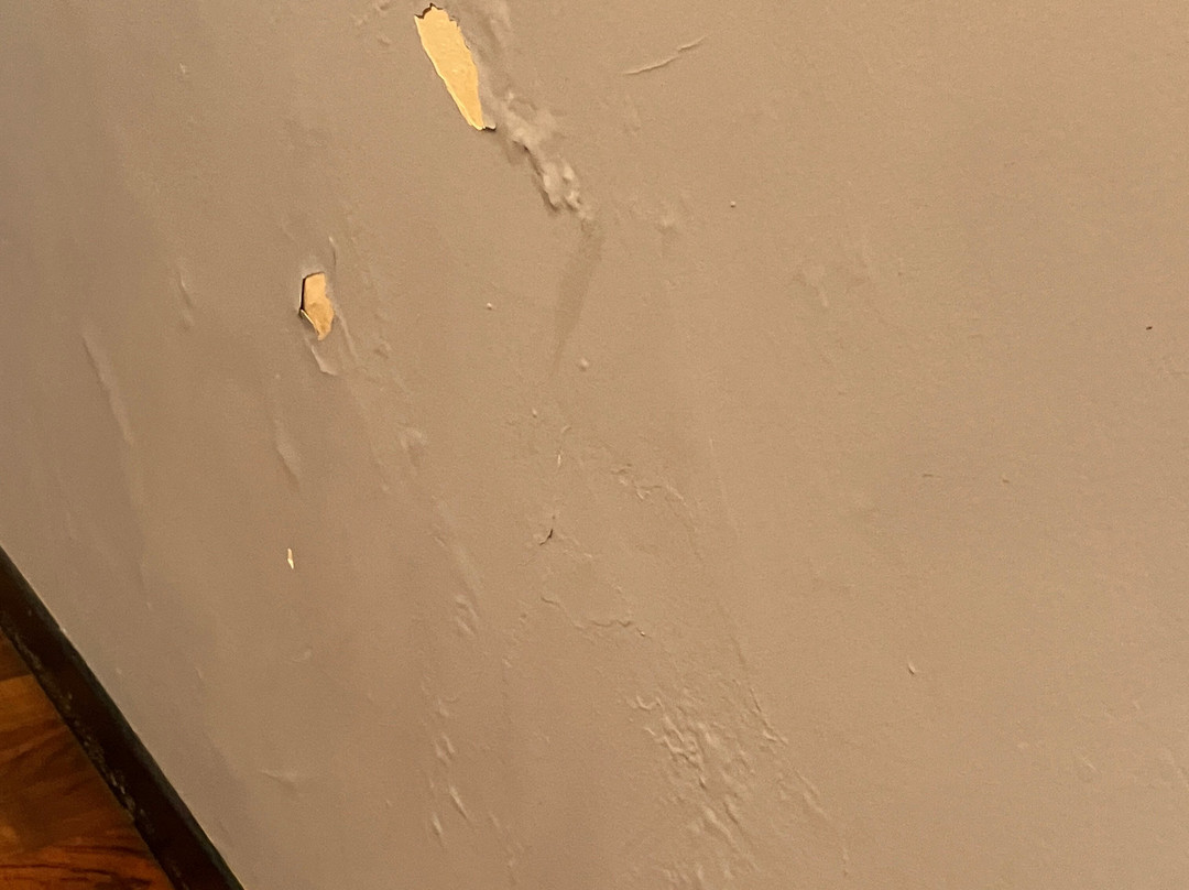 阿斯科纳酒店主图