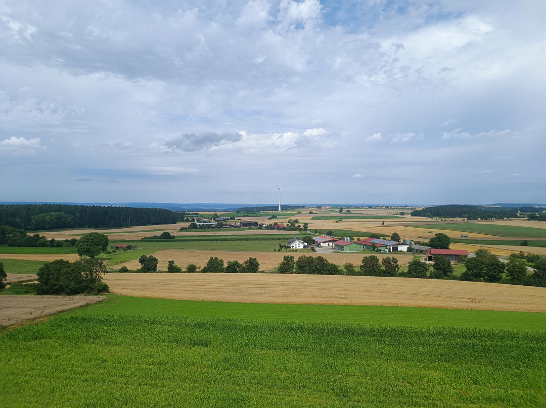 Aussichtsturm Dürrenmettstetten景点图片