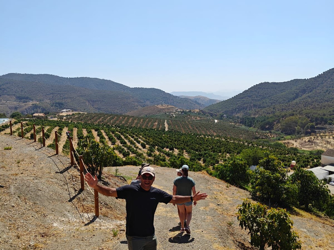 Finca Solmark景点图片