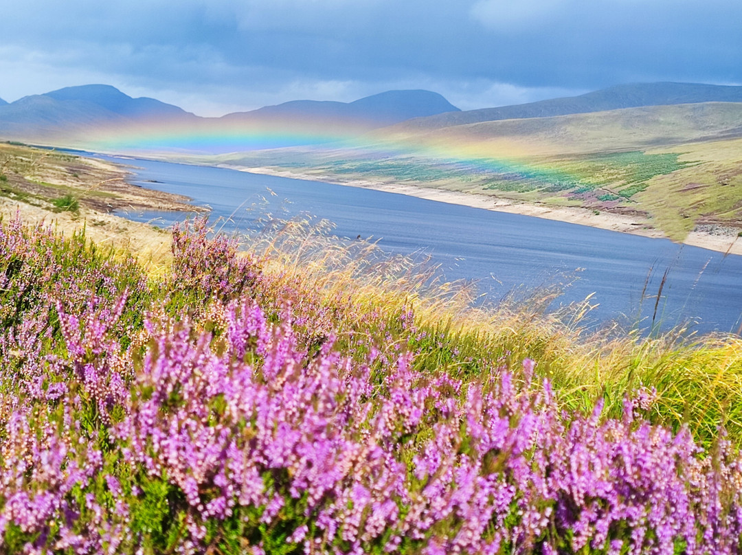 Exquisite Scotland Day Tours景点图片