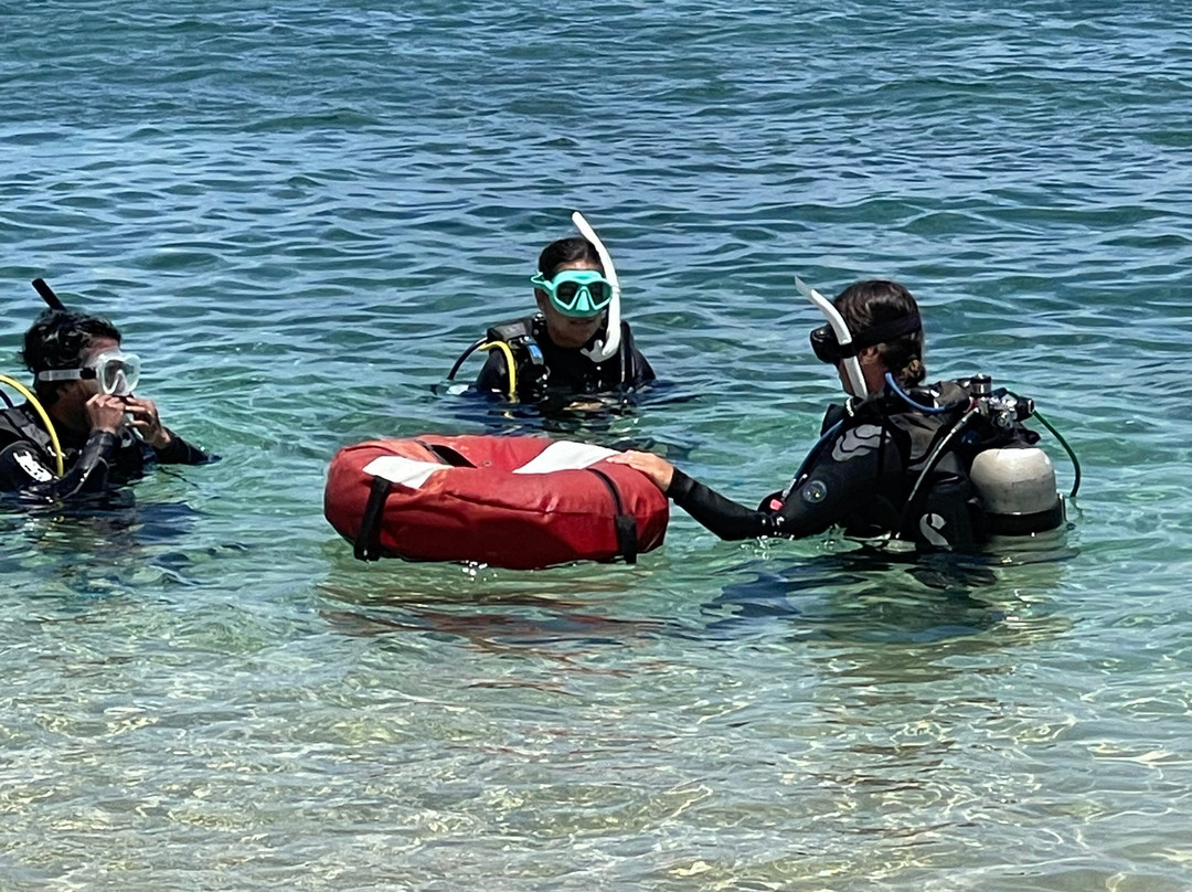 Aloha Maui Diving景点图片