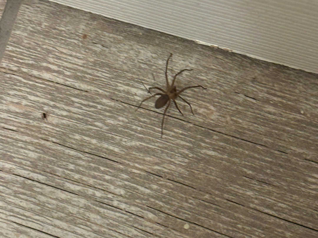 Twin Oaks Table Rock Lake Resort主图