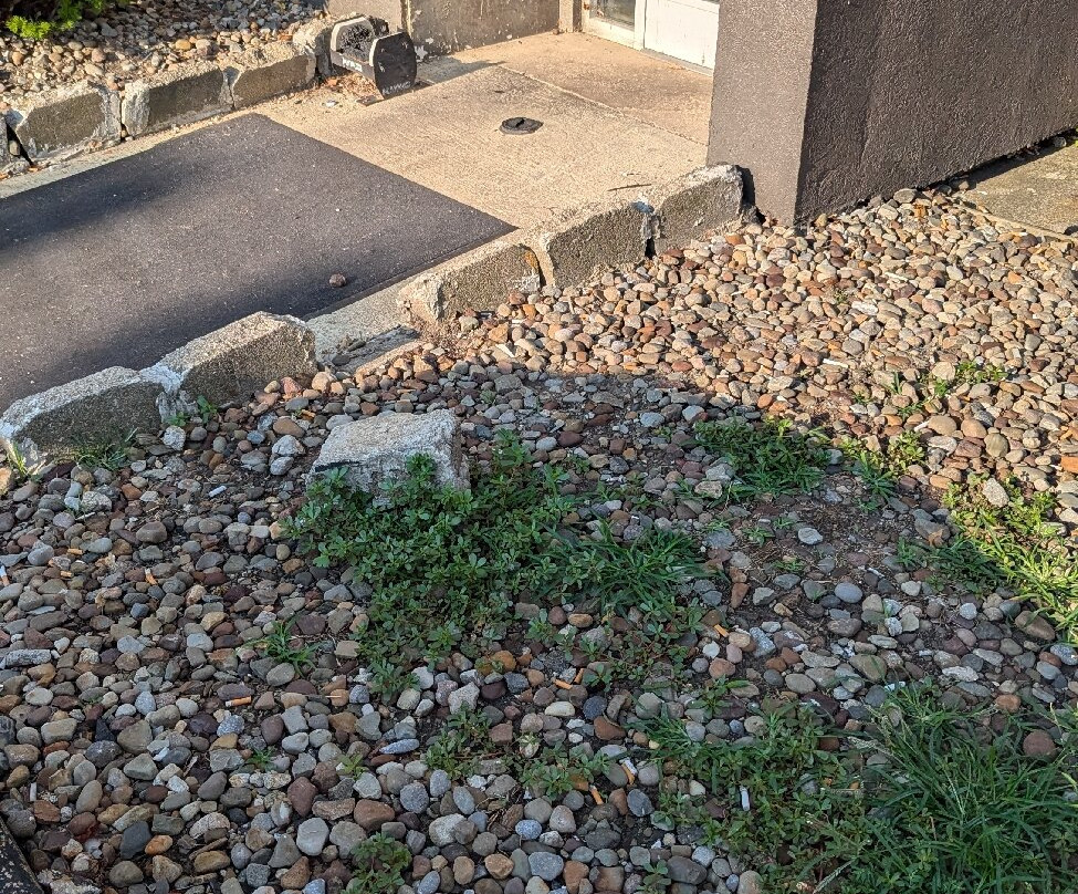 Quality Inn Brunswick Cleveland South主图