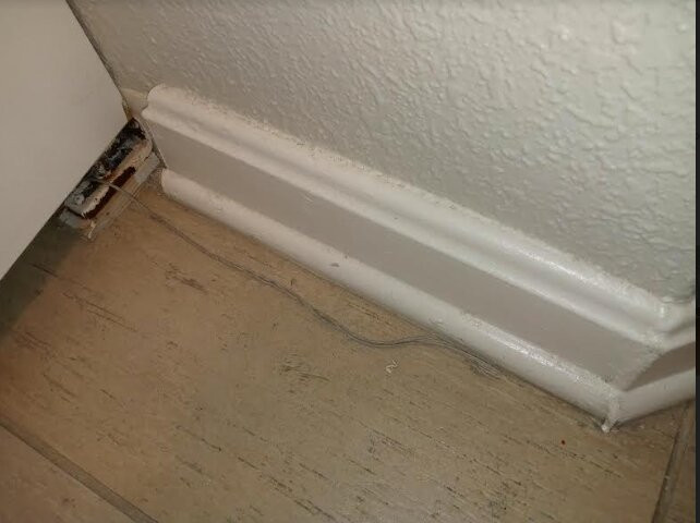 Club Wyndham Ocean Boulevard主图