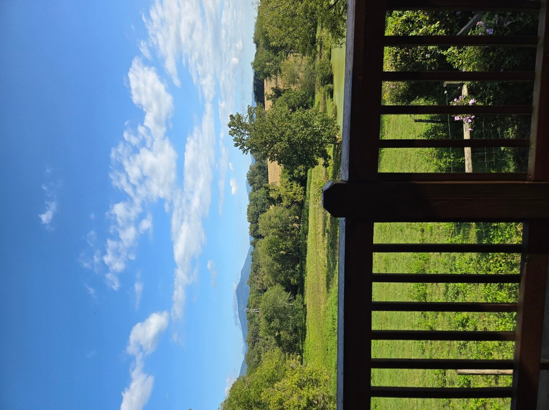 Vanquility Acres Inn & Peaksview Cottages主图