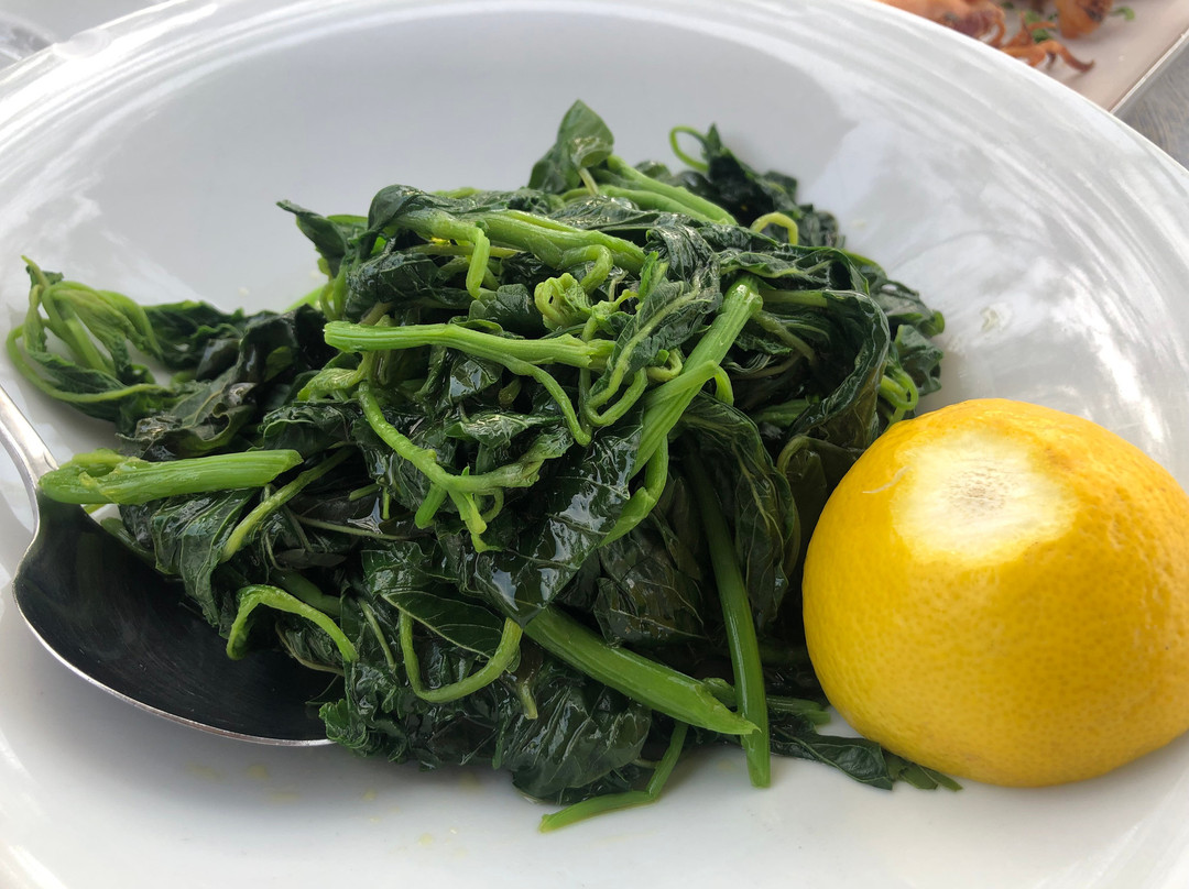 Vlychos Beach-Hydra必去景点