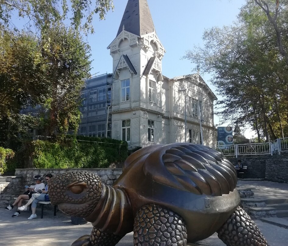 Brunurupucis (The Turtle)-尤尔马拉必去景点