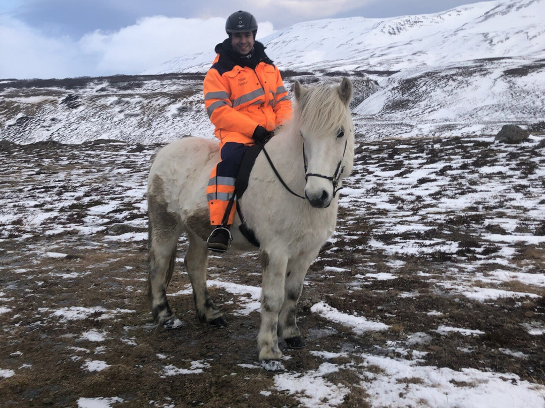 Polar Hestar-阿克雷里必去景点