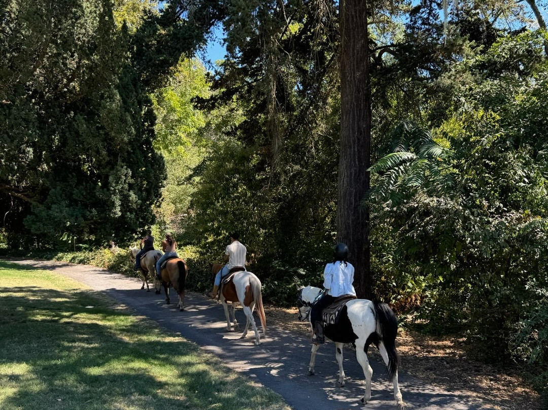 Sonoma Valley Trail Rides景点图片