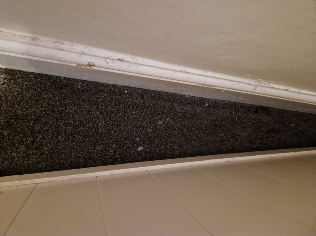 Lauriston Court Hotel主图