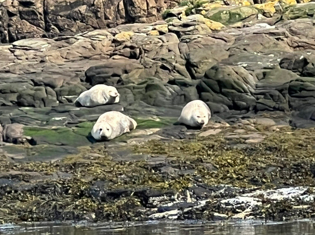 SkyeXplorer Boat Trips-Uig必去景点