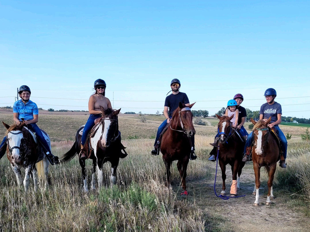 Christine's Horseback Riding-卡尼必去景点