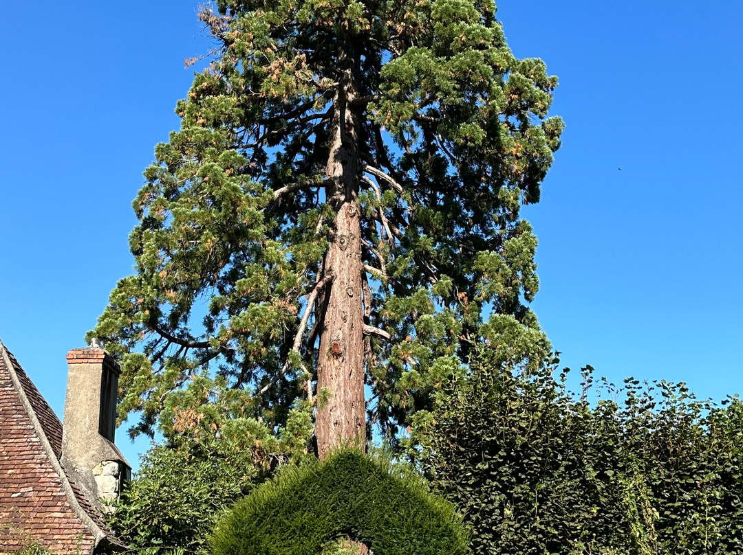 Domaine de Poulaines景点图片