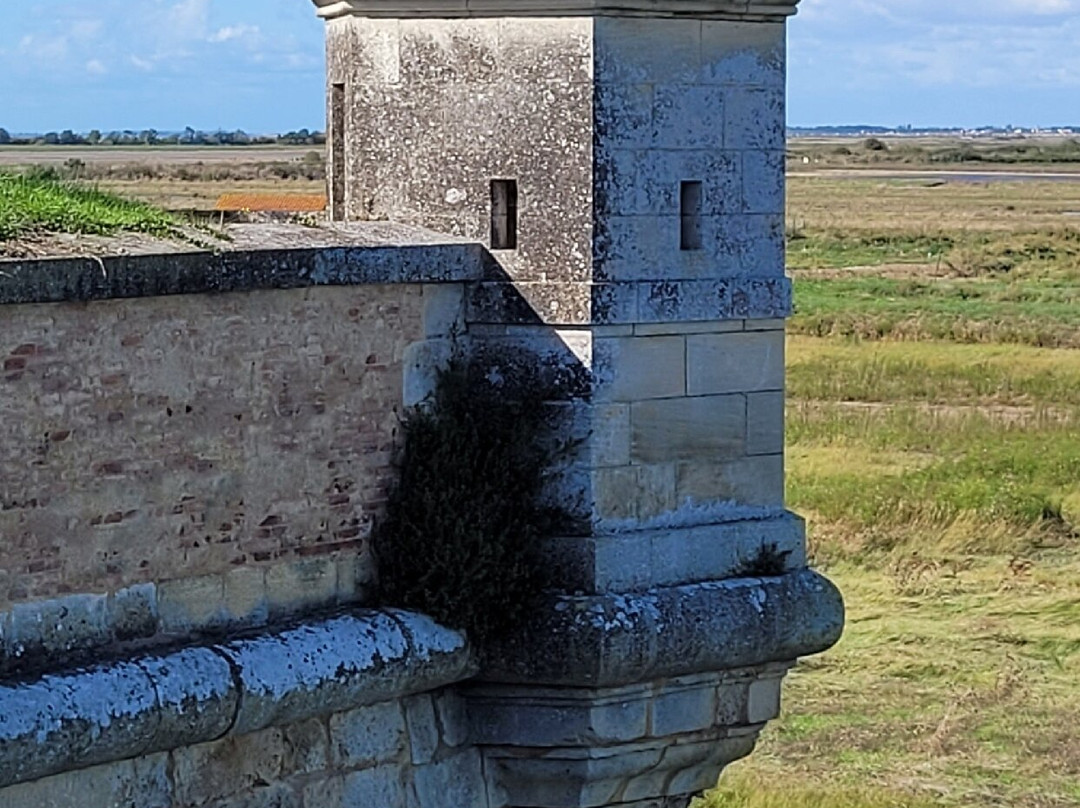 Office de Tourisme de Hiers-Brouage景点图片