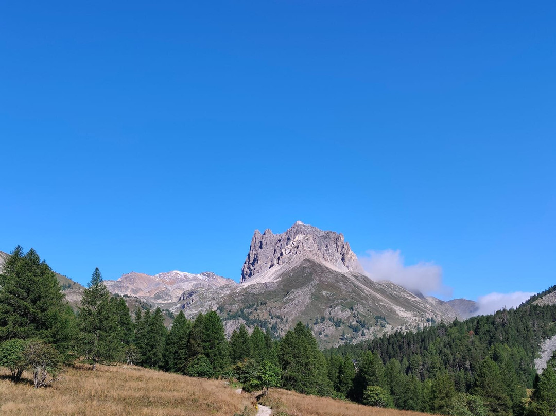 Residence Villa Frejus主图