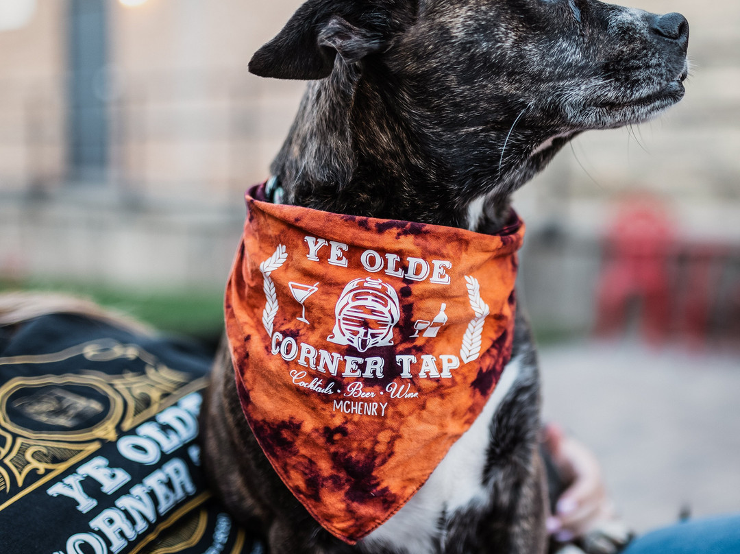 Ye Olde Corner Tap-McHenry必去景点