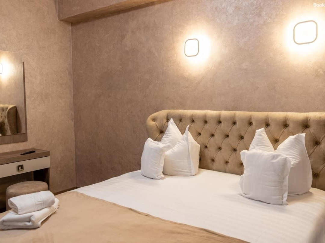 Pensiunea Europa主图