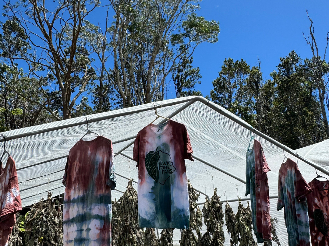 Hawaii Forest Farms-火山必去景点