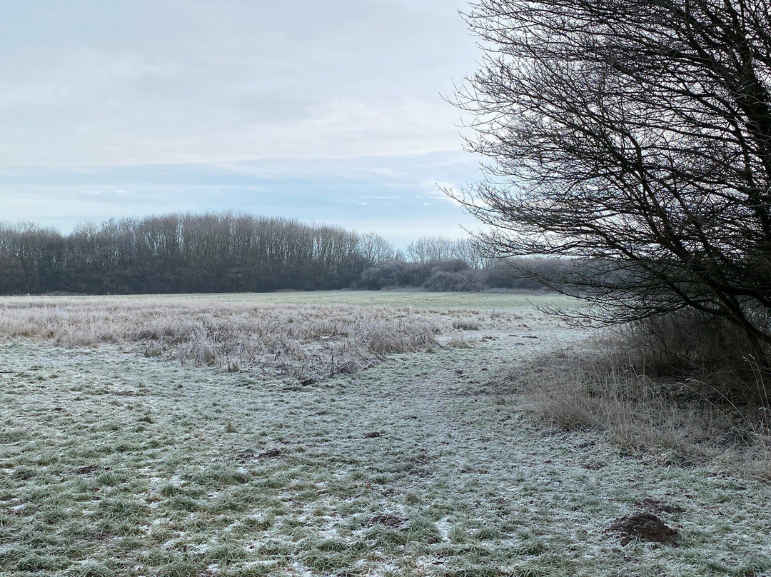 Castle Hill Country Park景点图片