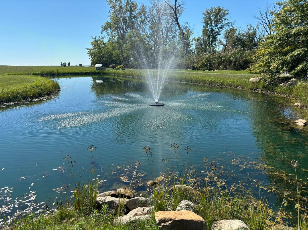 Sprucewood Shores Estate Winery-Harrow必去景点