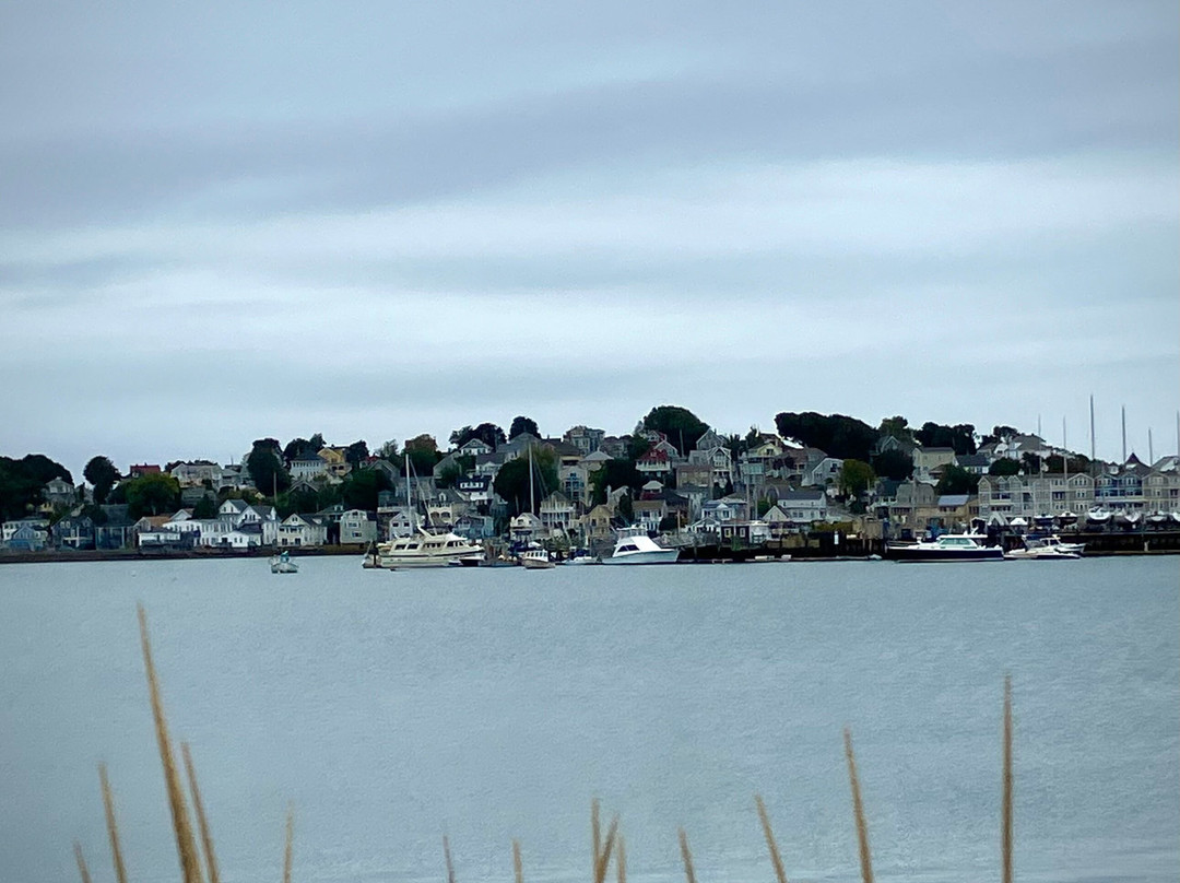 Josephine's Bed & Breakfast主图