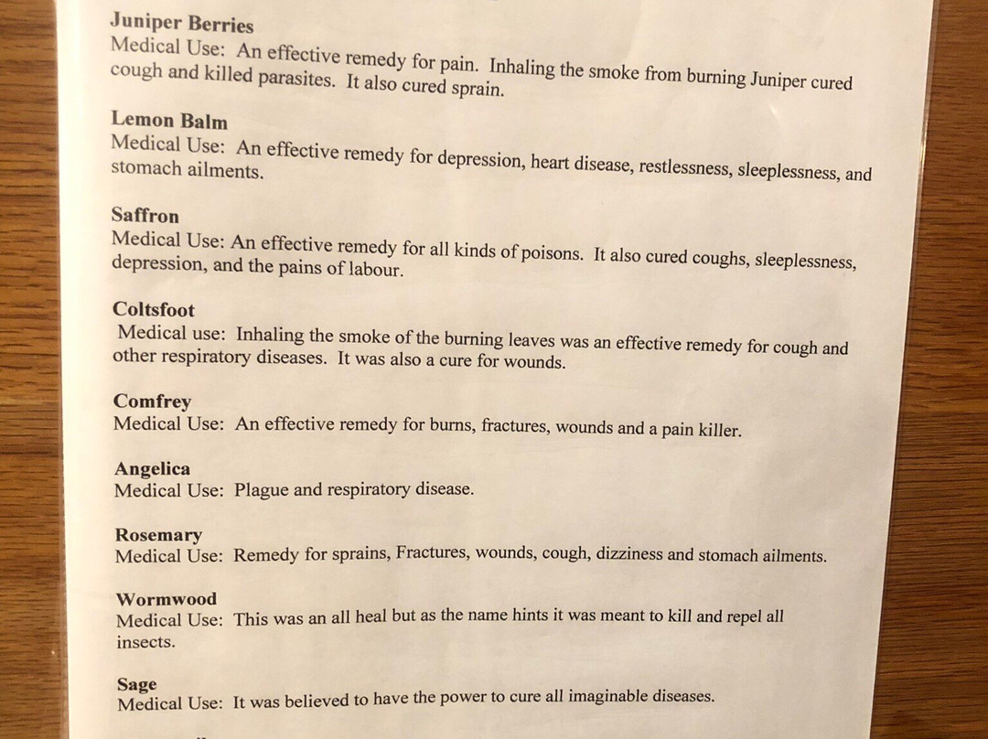 Matthew Legacy-Bonavista必去景点