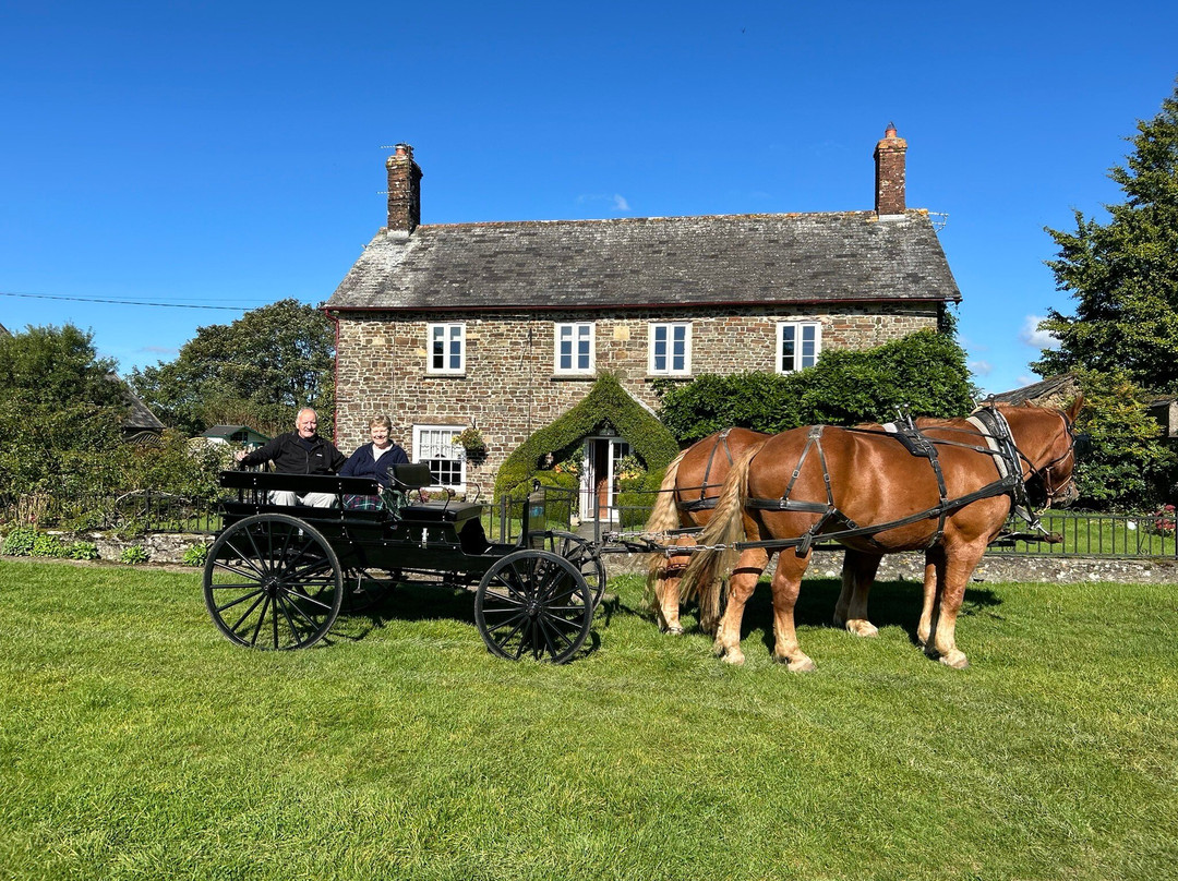 Middle Week Horse Drawn Farm景点图片