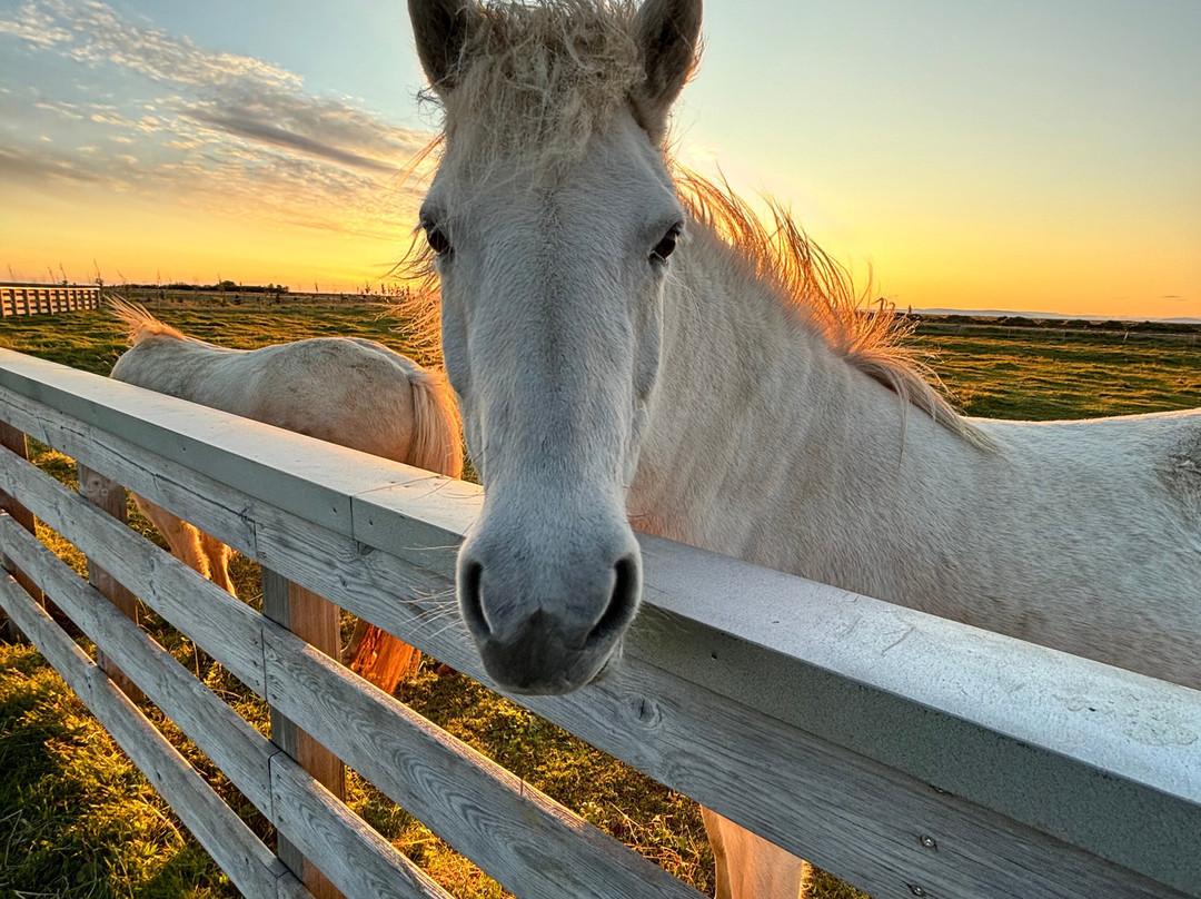 Lindartun Guesthouse主图