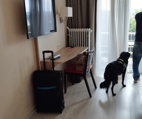 Montana Hotel Gummersbach-Nord主图