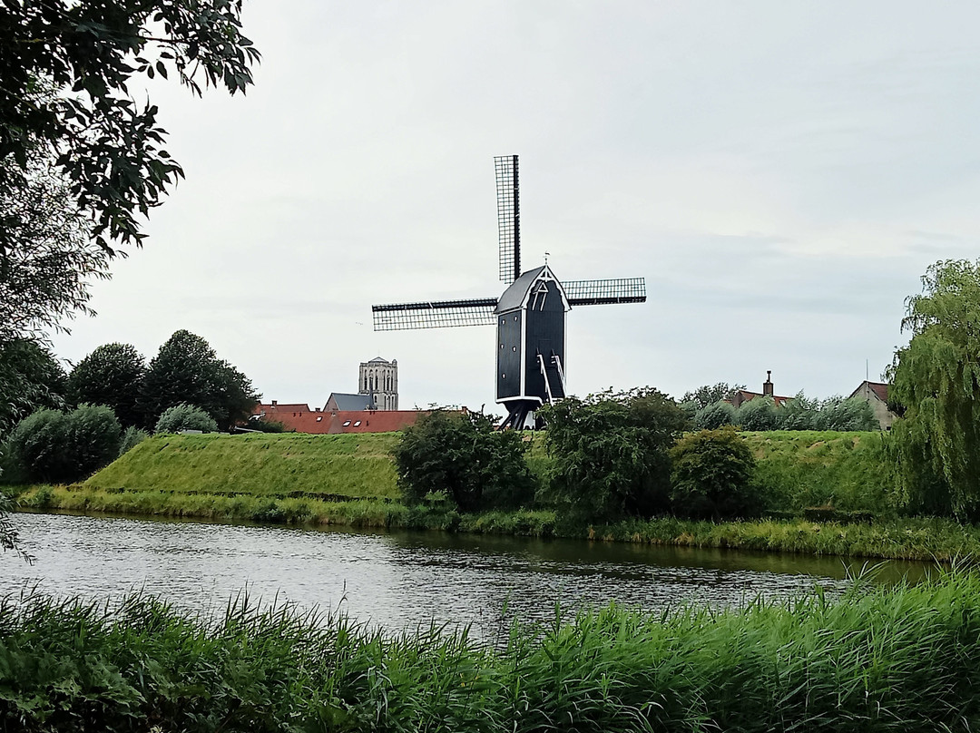 Molen ‘t Vliegend Hert景点图片