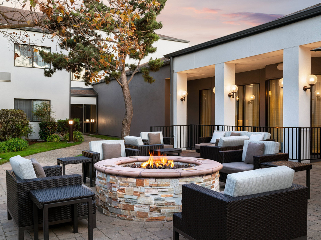 圣布鲁诺酒店住宿-Courtyard by Marriott San Francisco Airport