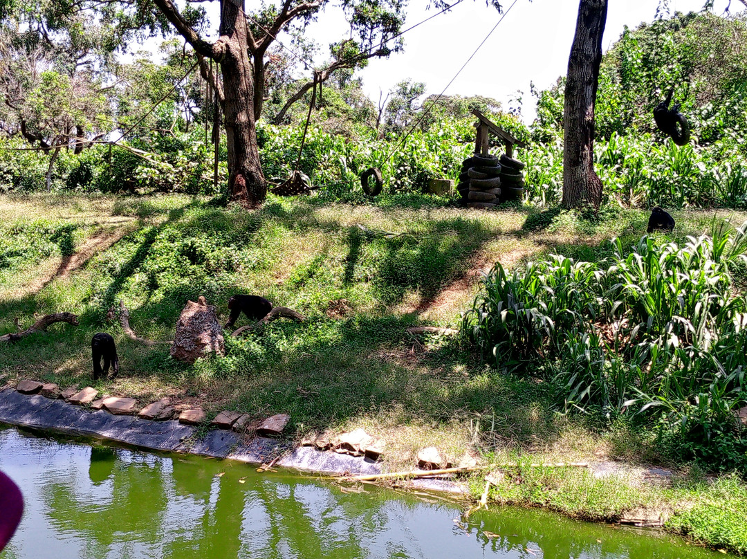 Uganda Wildlife Conservation Education Centre-恩德培必去景点