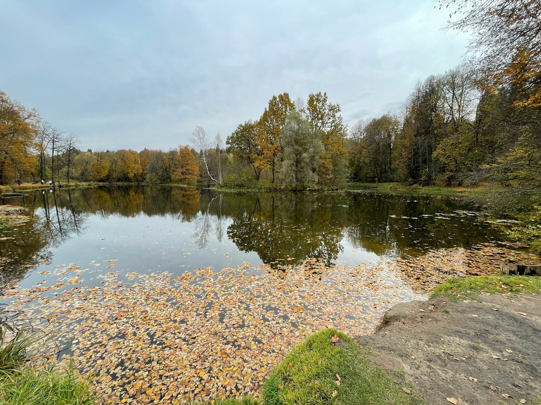 Serednikovo Manor景点图片