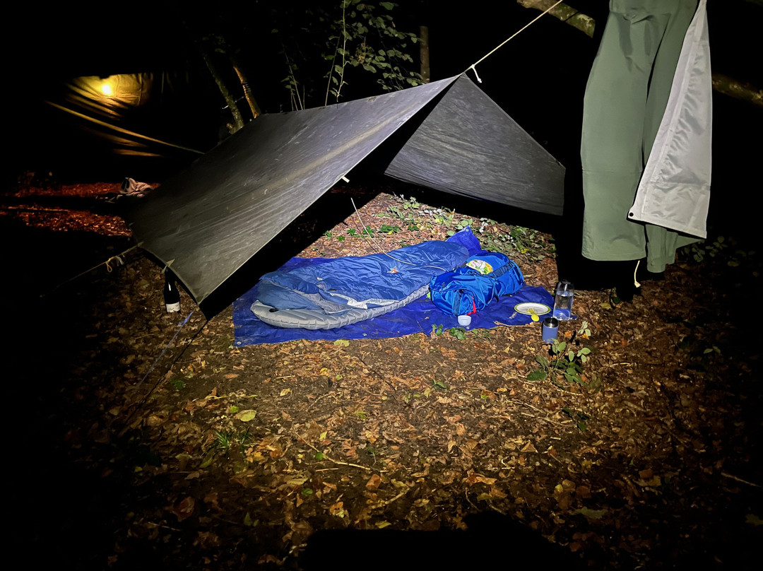 Wildway Bushcraft景点图片