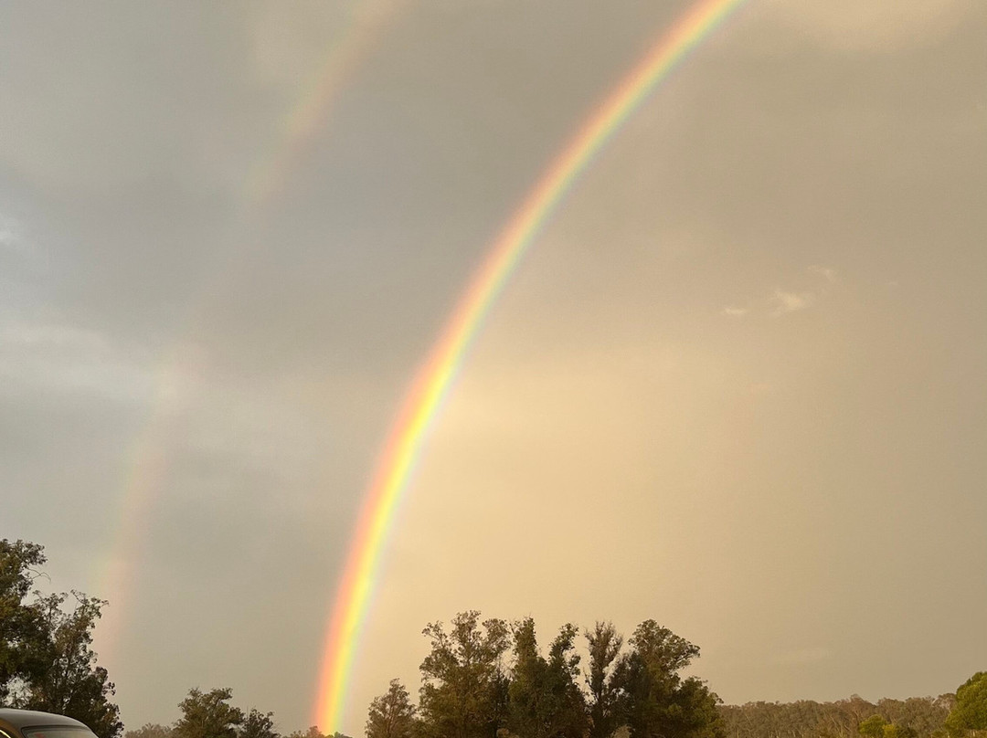 Donana Nature-El Rocio必去景点