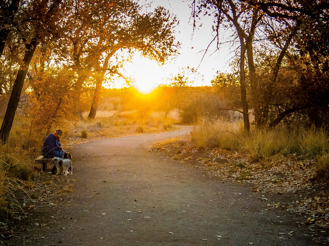Willow Creek Trail-Rio Rancho必去景点
