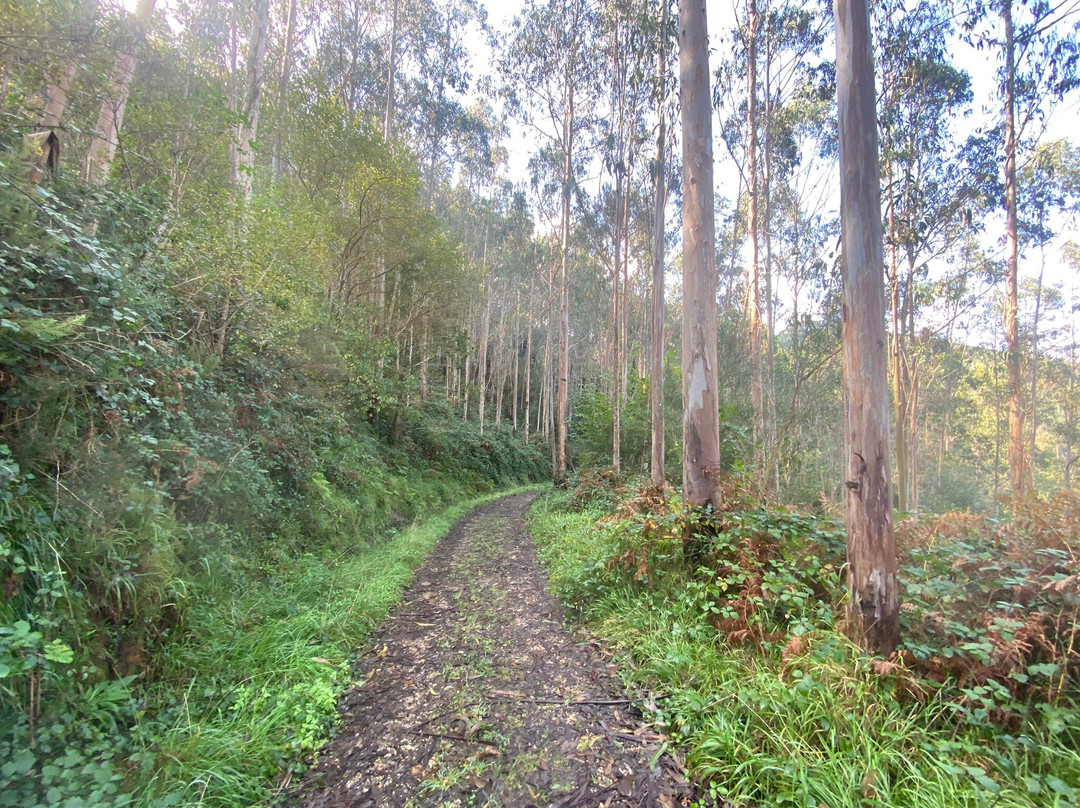 Fervenza Do Escouridal-Alfoz必去景点