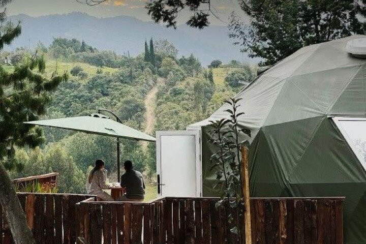 EL PINO GLAMPING