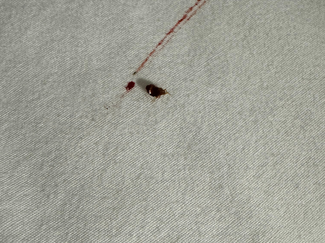 Hampton Inn Christiansburg/blacksburg主图